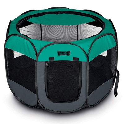 Pet Pad & Tent